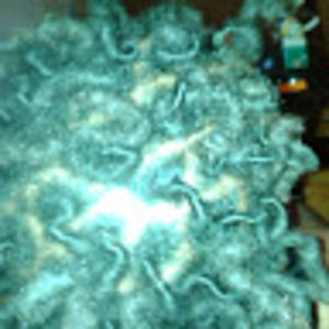 Meet your Posher, Donyetta